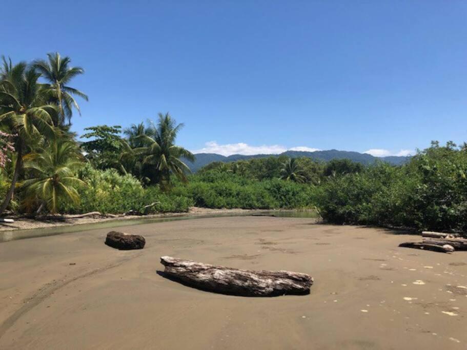 Casa Toucan Mit Privat Pool Near Np Ballena Uvita Exterior foto