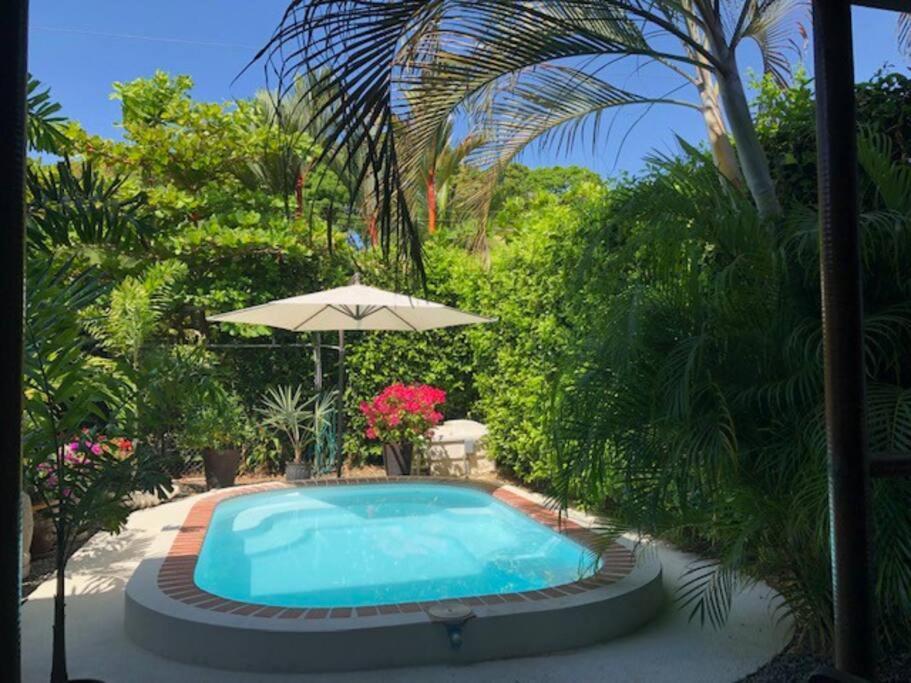 Casa Toucan Mit Privat Pool Near Np Ballena Uvita Exterior foto