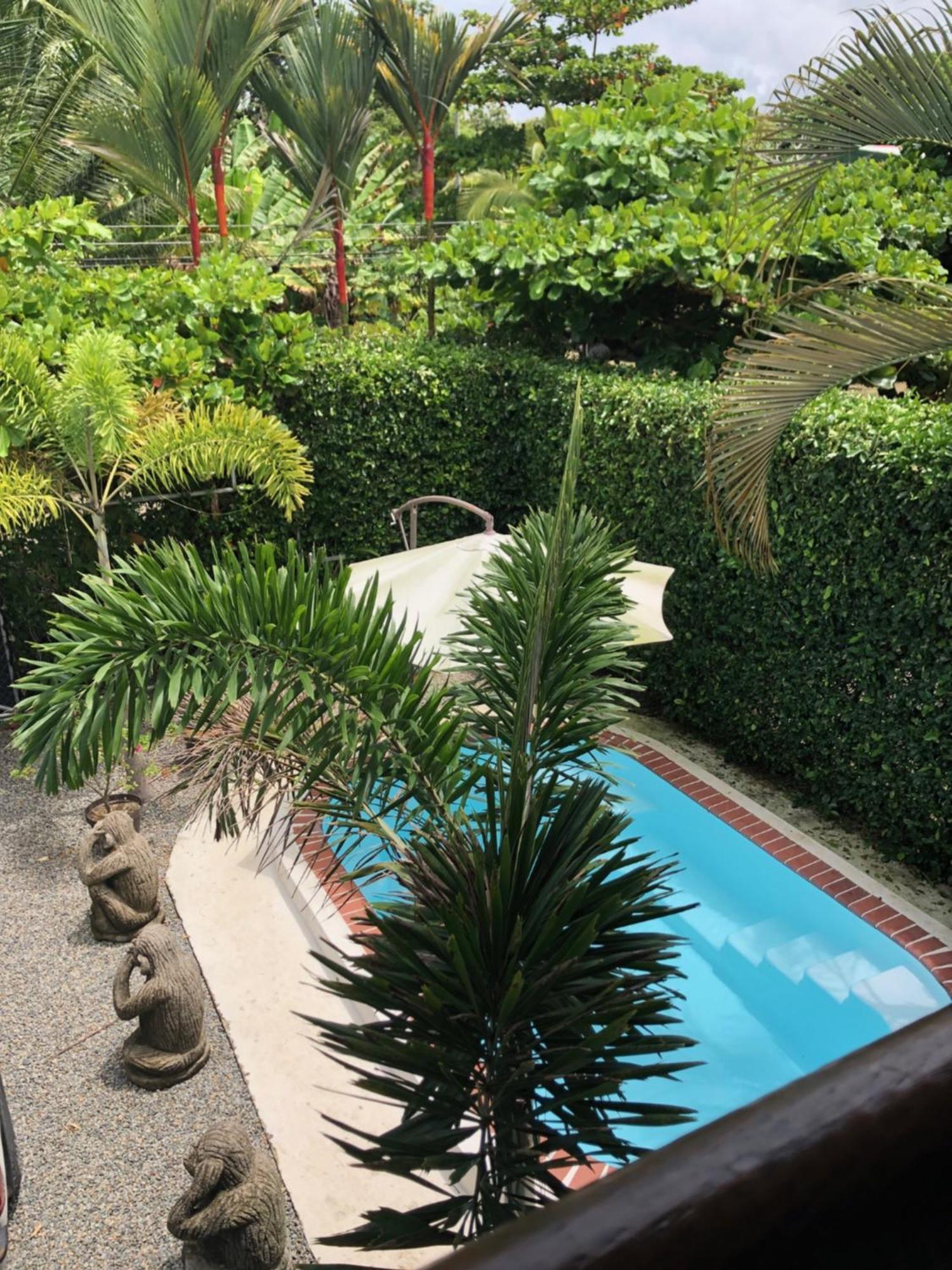 Casa Toucan Mit Privat Pool Near Np Ballena Uvita Exterior foto